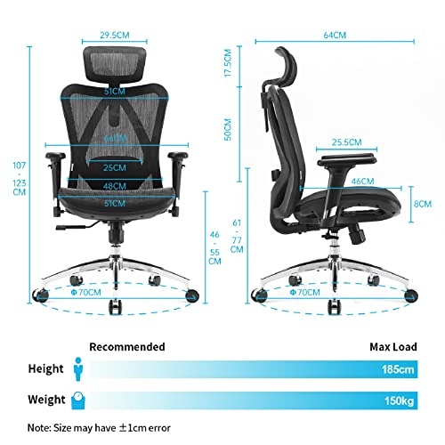 Ergonomic Mesh Office Chair with Adjustable Lumbar Support, 3D Armrests & High Back – Black